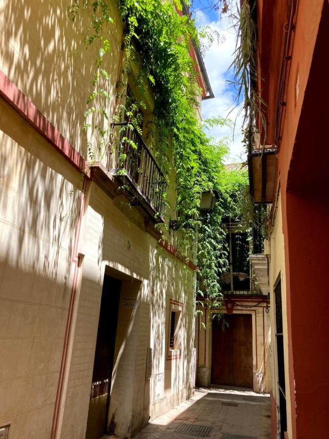 Acogedor Apt 8Pax 4Bdr 2Bth - Cozyhomesevilla1 Exteriör bild